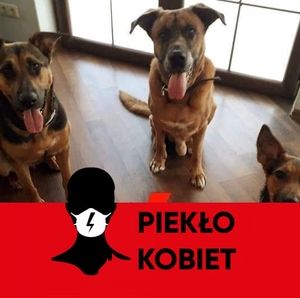 Meet your Posher, Dorota